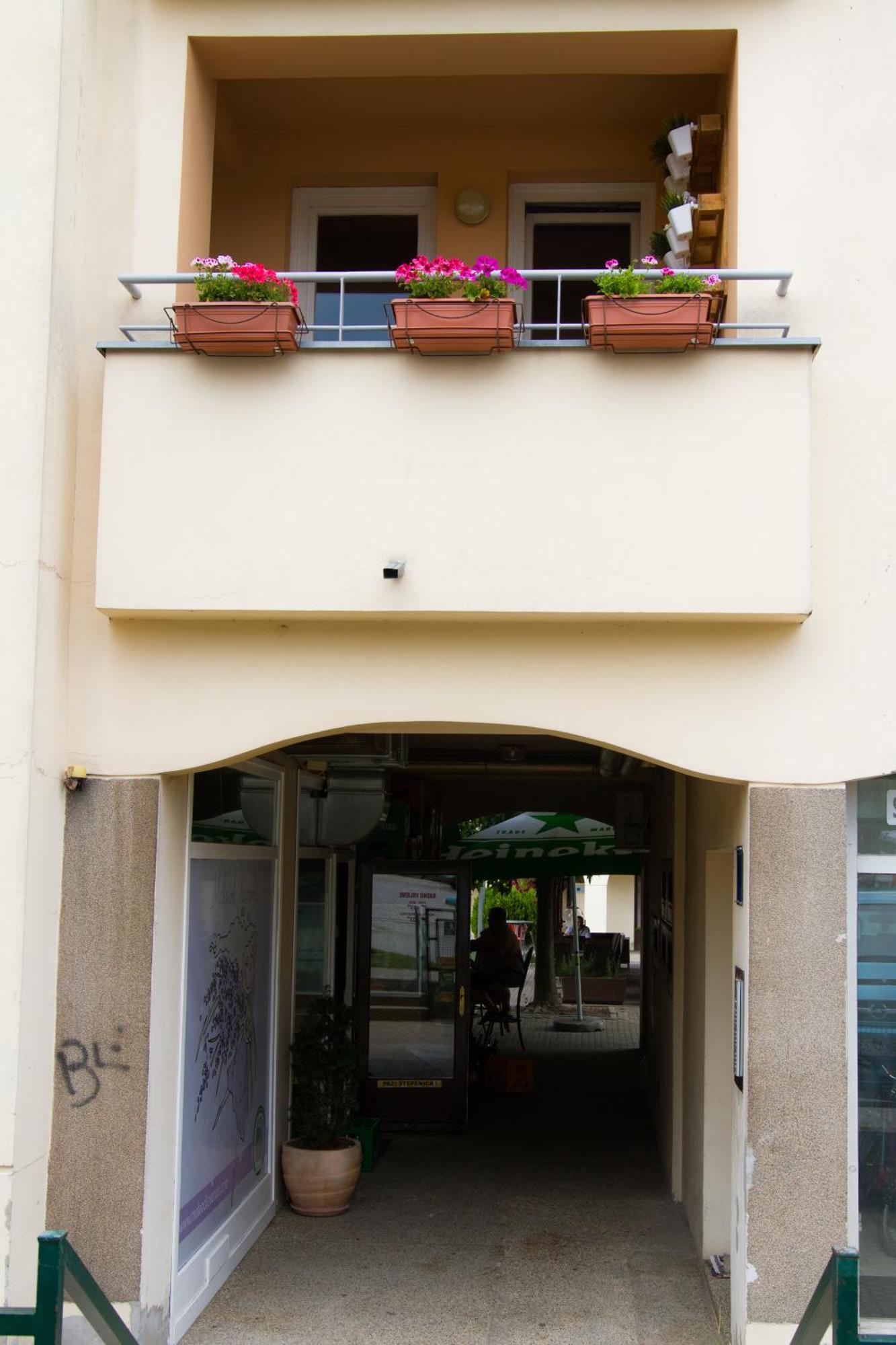 Apartment Biscan Sveta Nedjelja  Εξωτερικό φωτογραφία